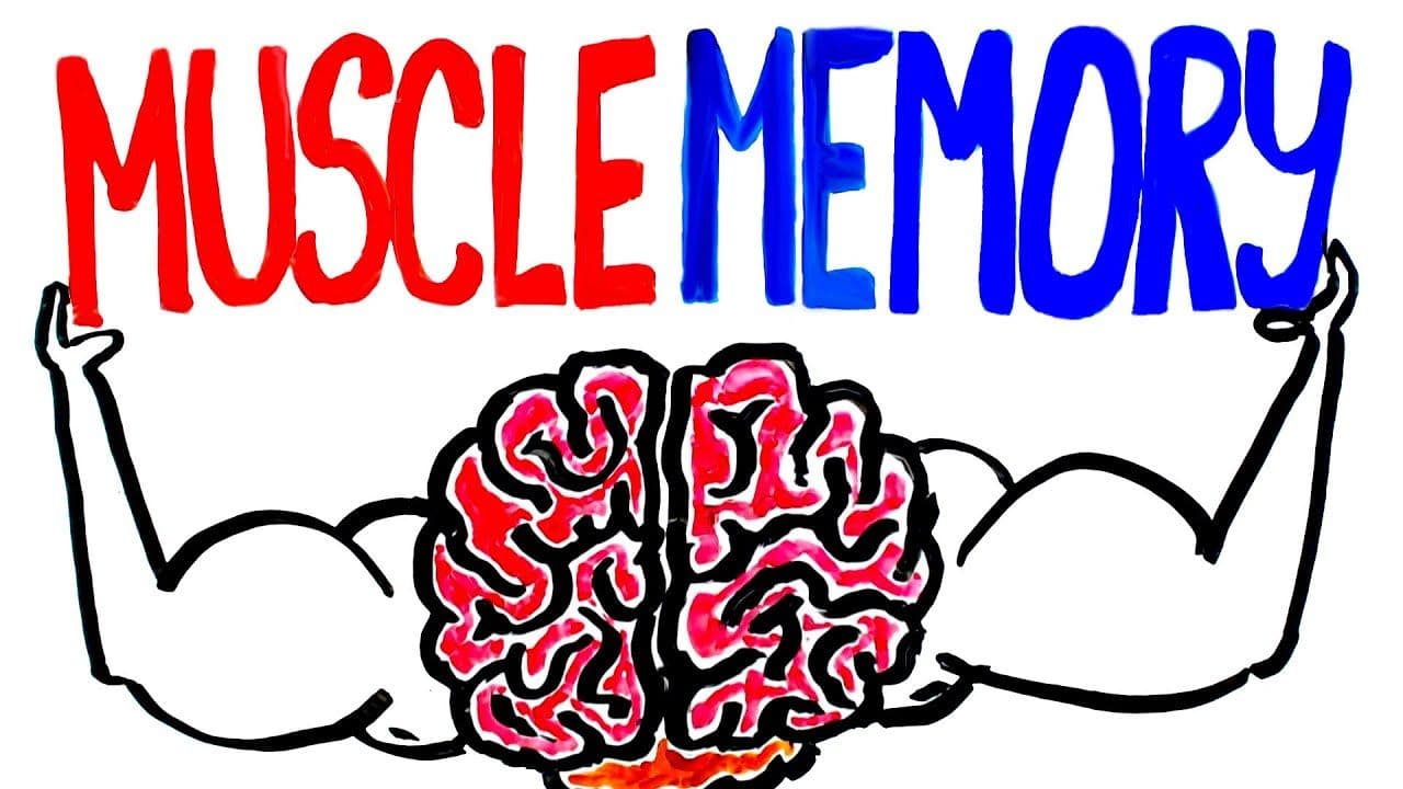 unveiling-the-science-behind-muscle-memory