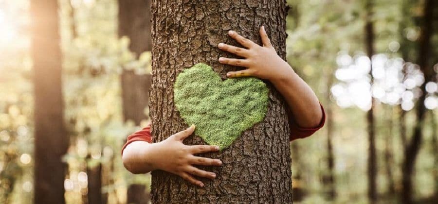 nurturing-nature-a-symphony-of-eco-friendly-living